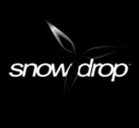 Ubisoft โชว์เอนจินตัวใหม่ “Snowdrop” ใน Division !